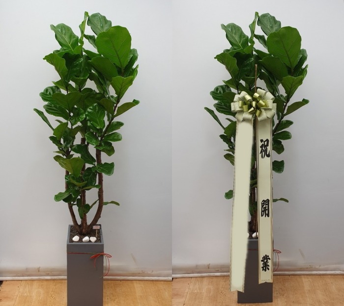 ����ȭ�� ������������