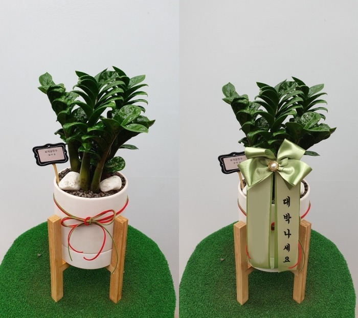 ����ȭ�� Ź��� ����������