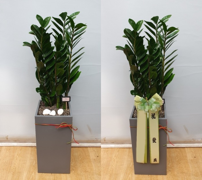 ����ȭ�� ������