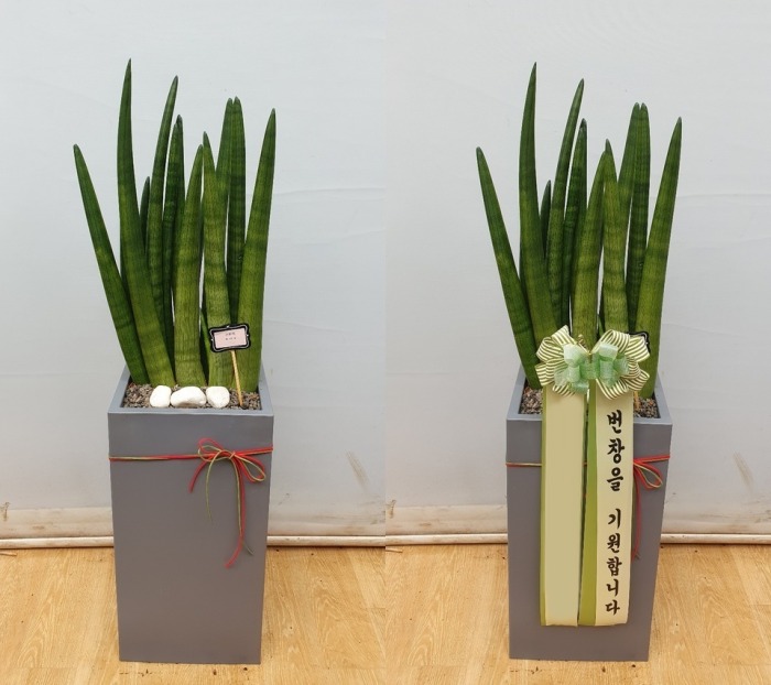 ����ȭ�� ����Ű