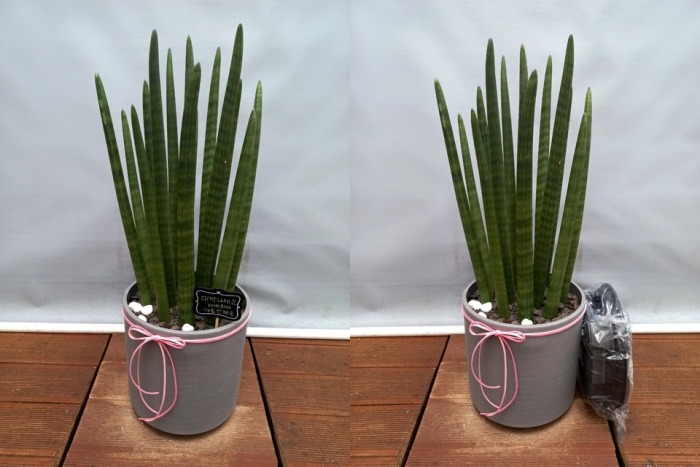 ����ȭ�� ����Ű