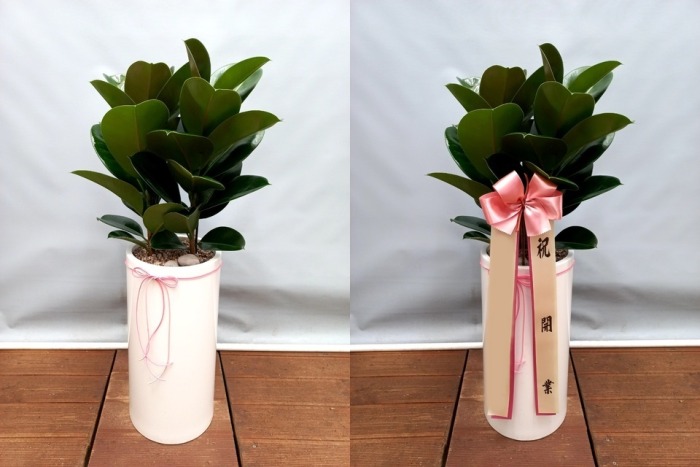 ����ȭ�� ��������