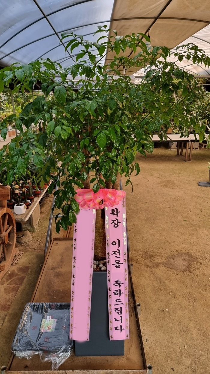 ����ȭ�� ����Ʈ��