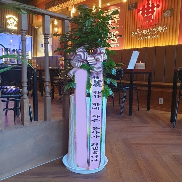 ����ȭ�� �캸��