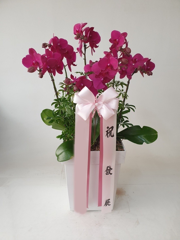 ����� ȣ����