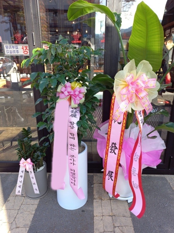 ����ȭ�� �캸��