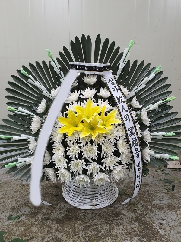 ����ٱ���