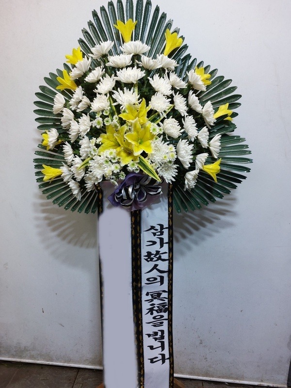 ����������ȭȯ