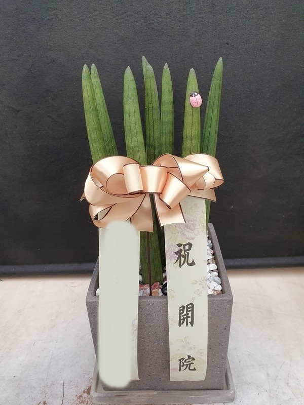 ����ȭ�� Ź��� ����Ű