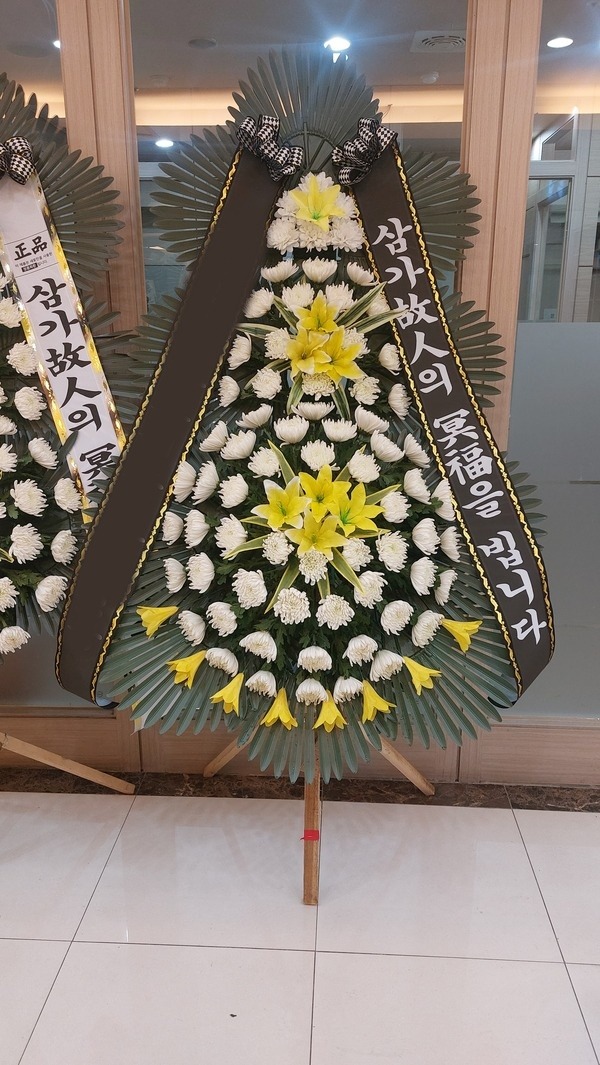 ����3��ȭȯ