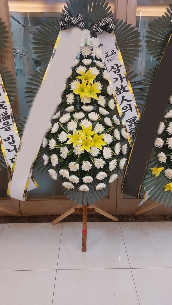 ����3��ȭȯ