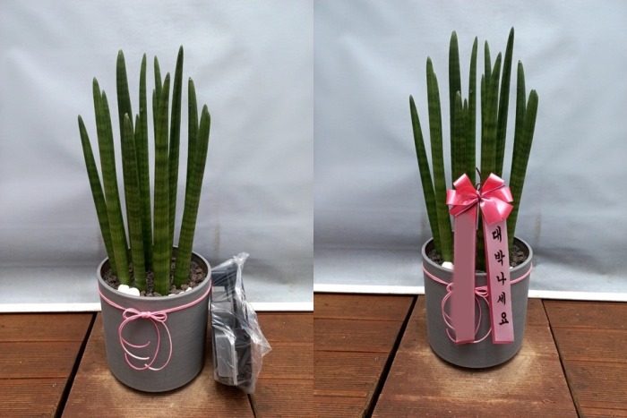 ����ȭ�� ����Ű