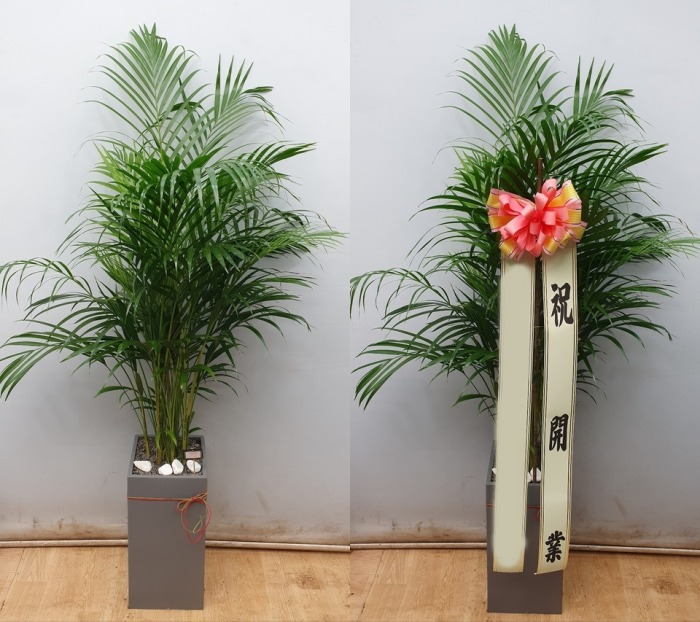 ����ȭ�� �Ʒ�ī����