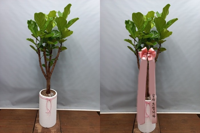 ����ȭ�� ������������