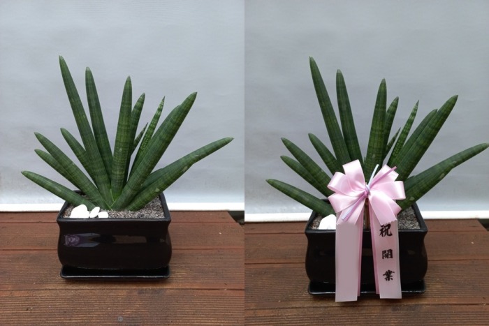 ����ȭ�� ����Ű Ź���