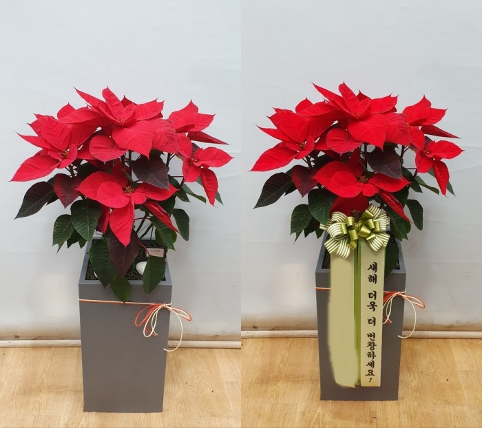 ����ȭ�� ���μ�Ƽ��