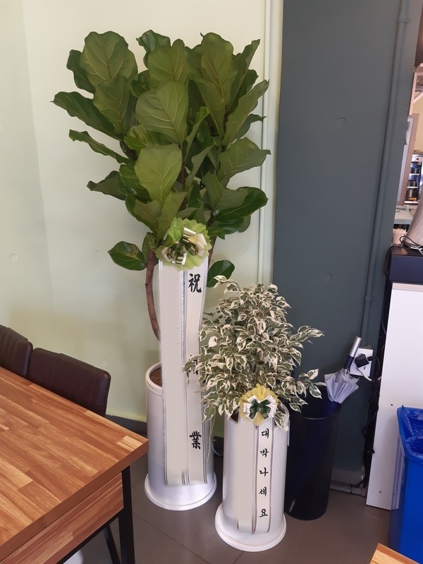 ����ȭ�� ������������