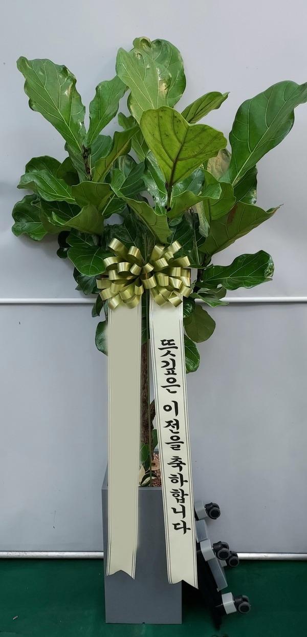 ����ȭ�� ������������