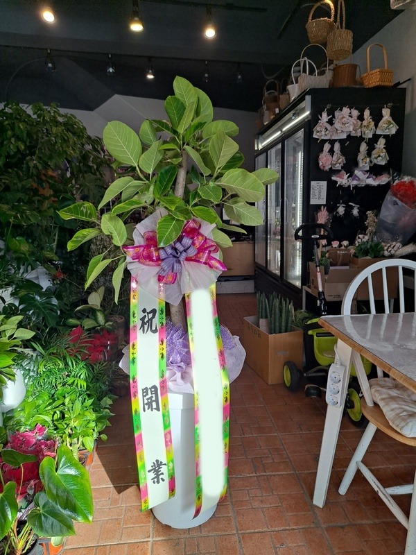 ����ȭ�� �𰥰�������