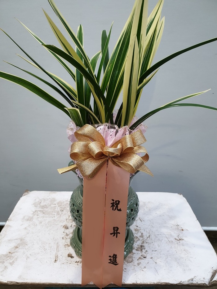 ����� �¾��