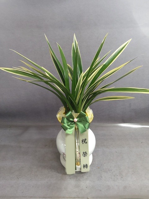 ����� �¾��