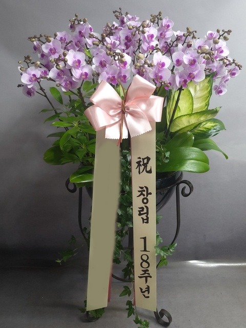 ����� ö�� ���ĵ�