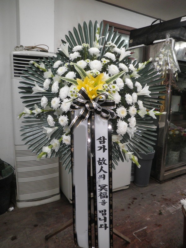 ���� ������