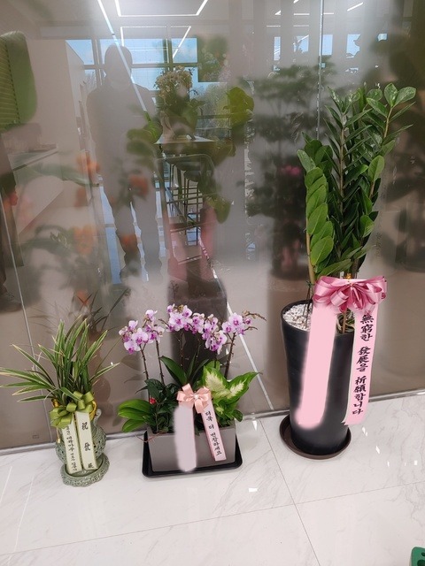 ����� �̴�ȣ��