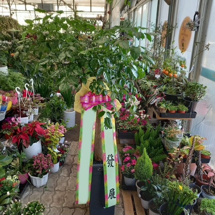 ����ȭ�� ����Ʈ��