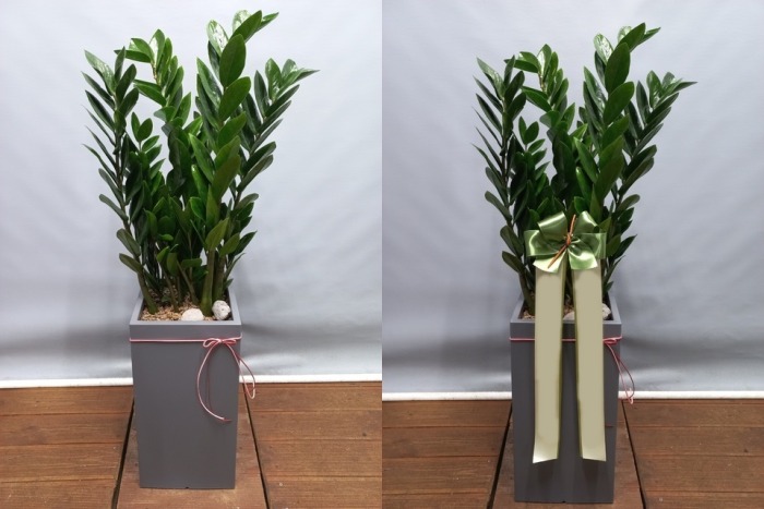 ����ȭ�� ������