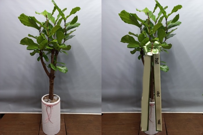 ����ȭ�� ������������