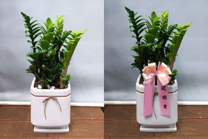 ����ȭ�� ���������� Ź���