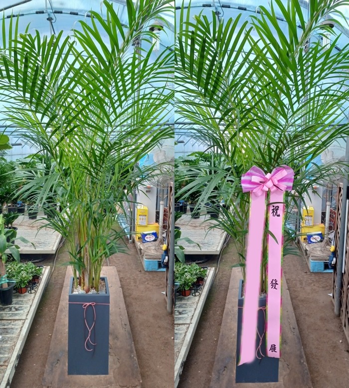 ����ȭ�� �Ʒ�ī����