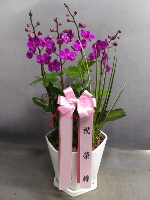 ����� ��õȫ