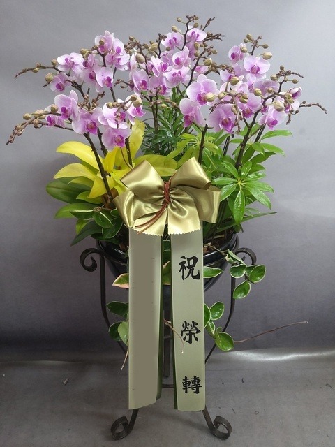 ����� �̴�ȣ�� ö��