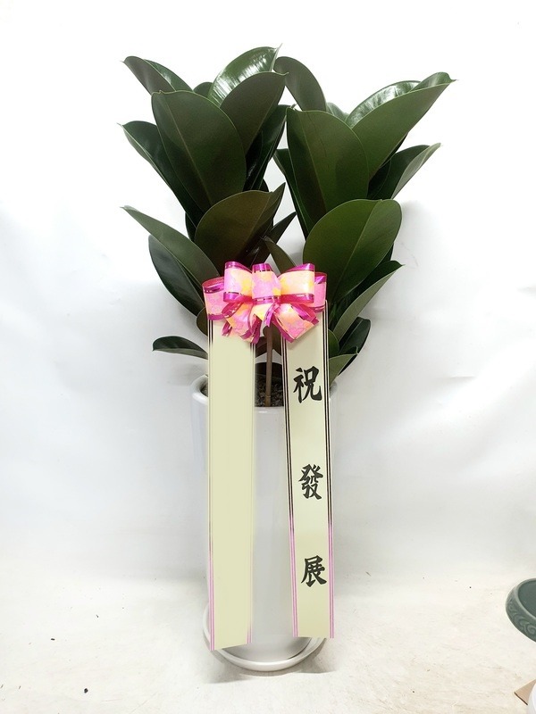 ����ȭ�� ��������