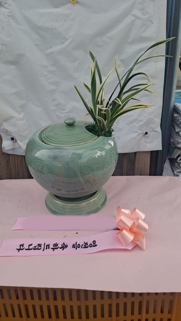 ����� �뱹 ���ڱ�