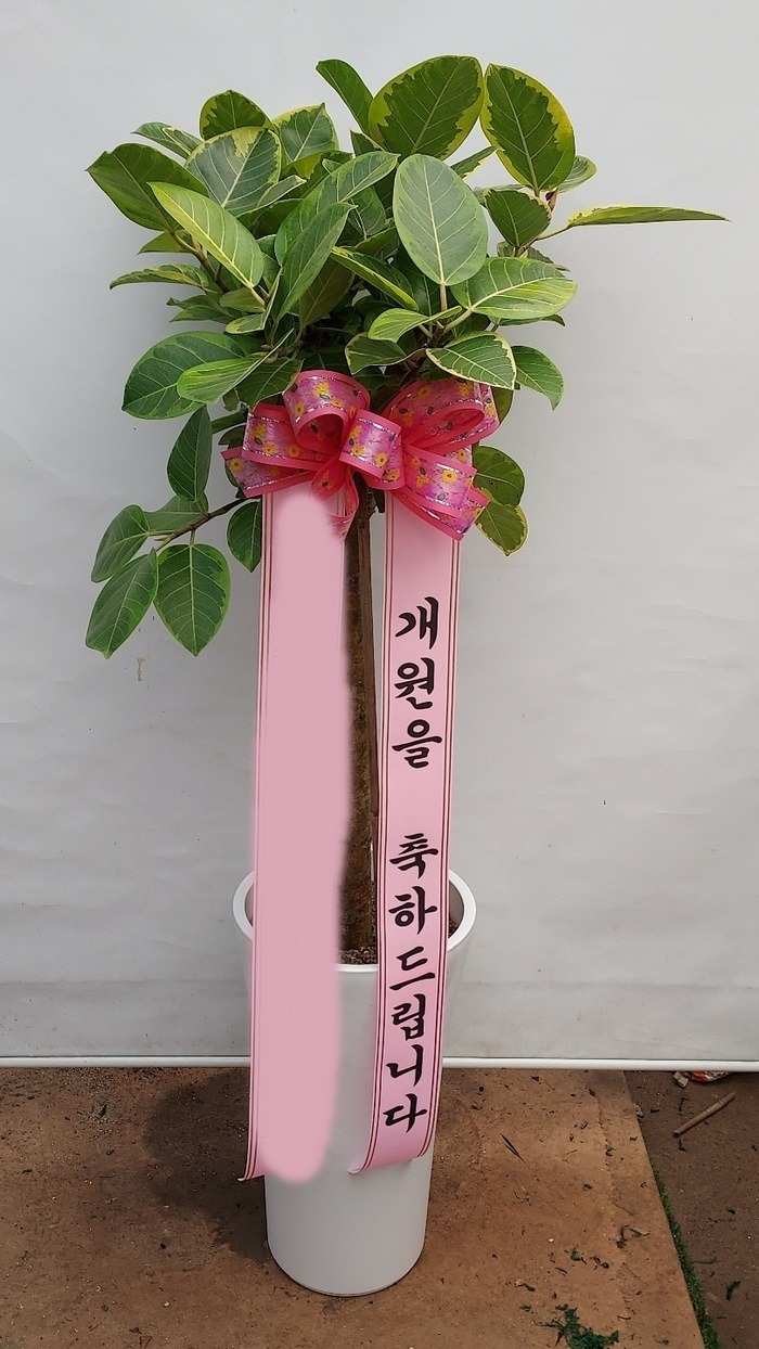 ����ȭ�� �𰥰�������