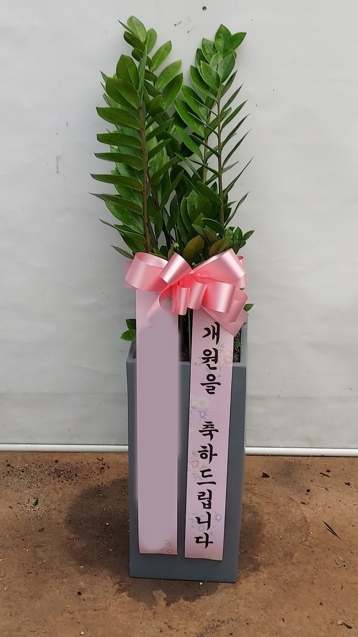 ����ȭ�� ������