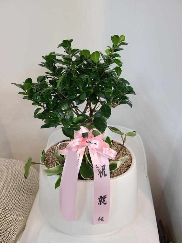 ����ȭ�� �λ���� Ź���