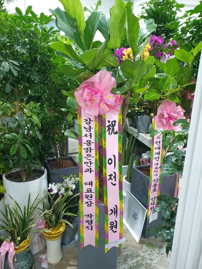 ����ȭ�� ������������