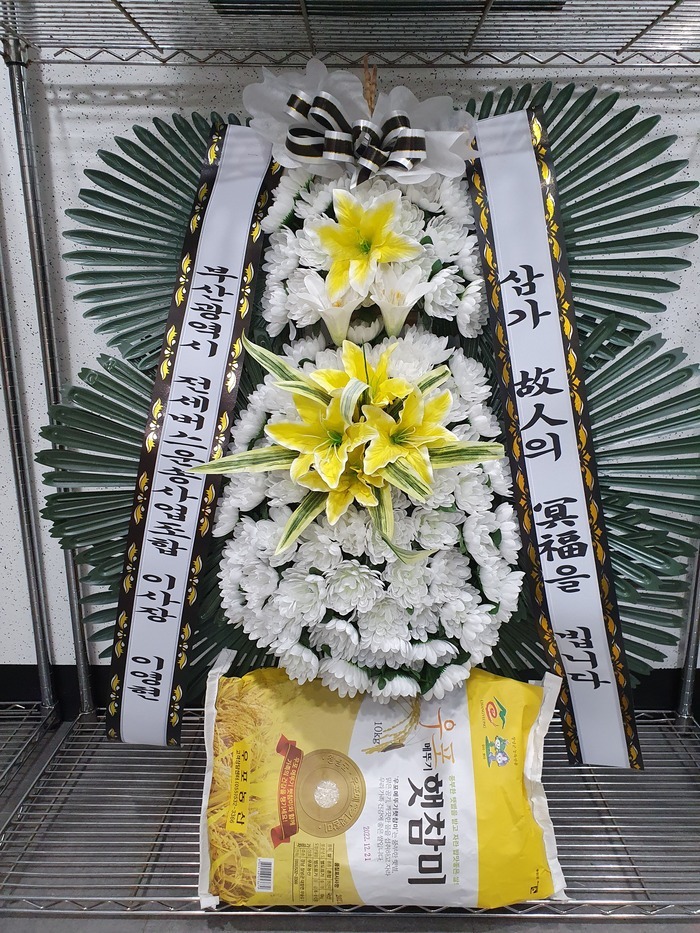 ���� �� �ٱ��� 10kg