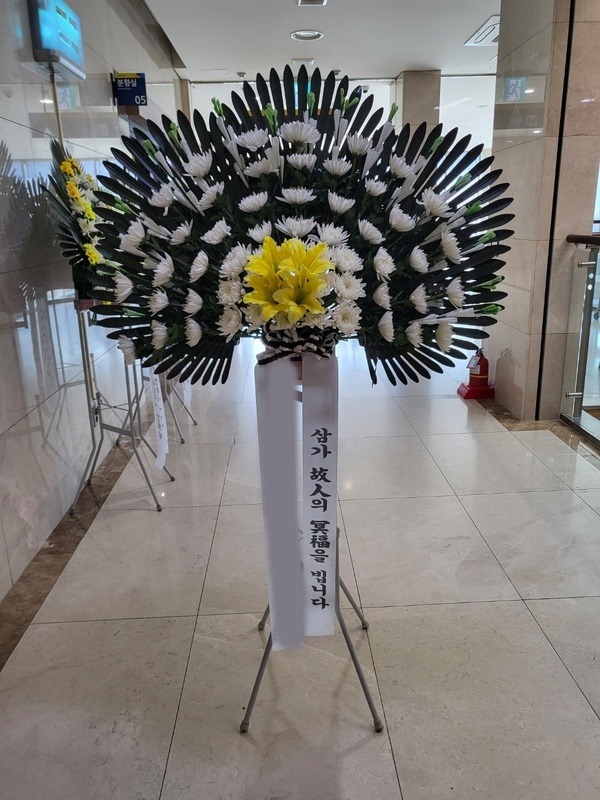 ����������ȭȯ