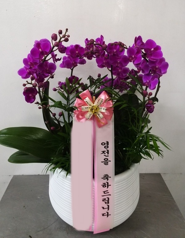 ����� ��õȫ