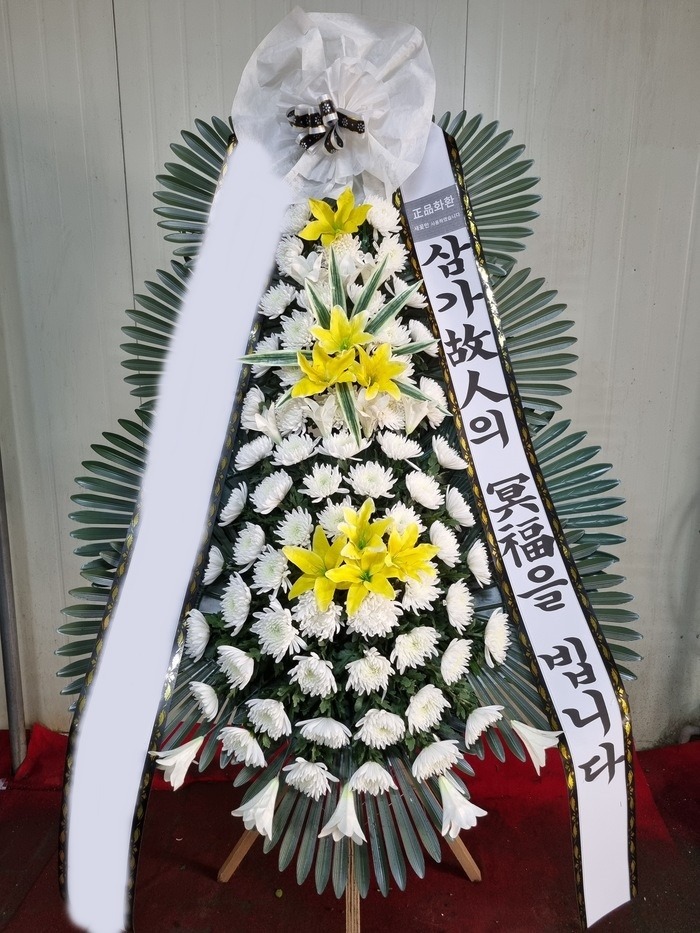 ����3��ȭȯ