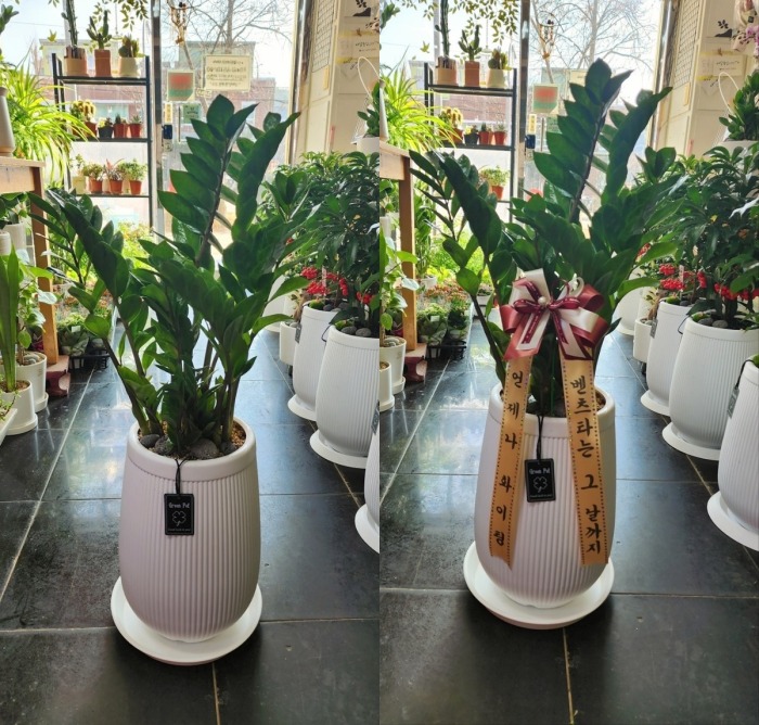 ����ȭ�� ������