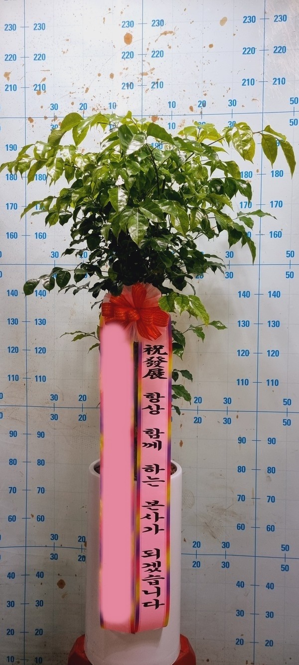 ����ȭ�� �캸��