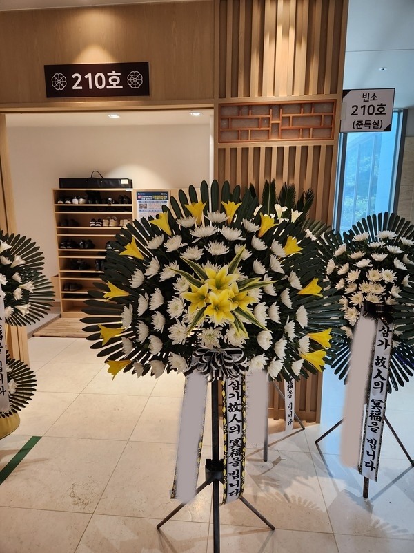 ����������ȭȯ