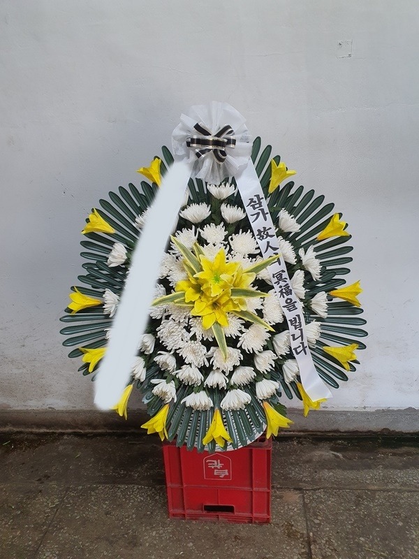 ����ٱ���