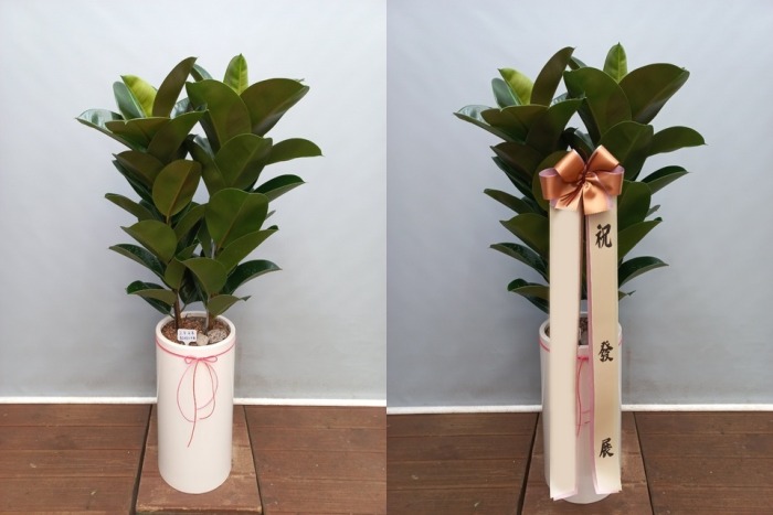 ����ȭ�� ��������